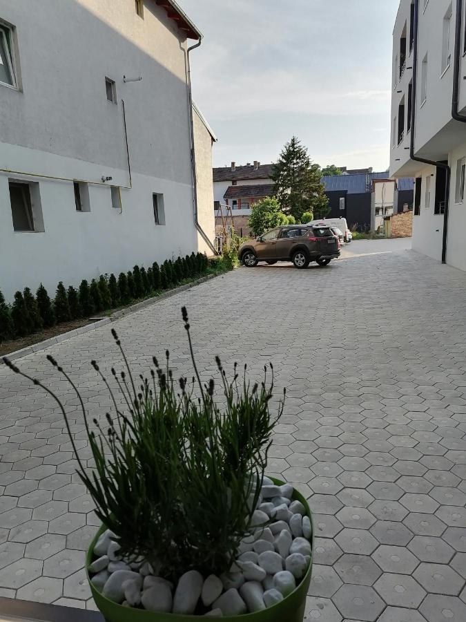 Apartman Stimac بيتروفارادين المظهر الخارجي الصورة